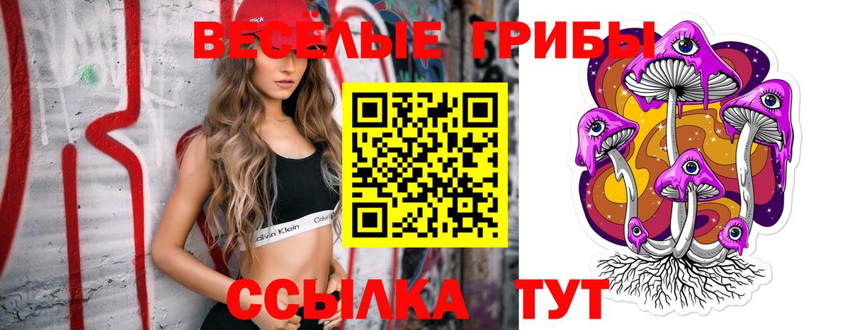 Псилоцибиновые грибы Magic Shrooms Кашира