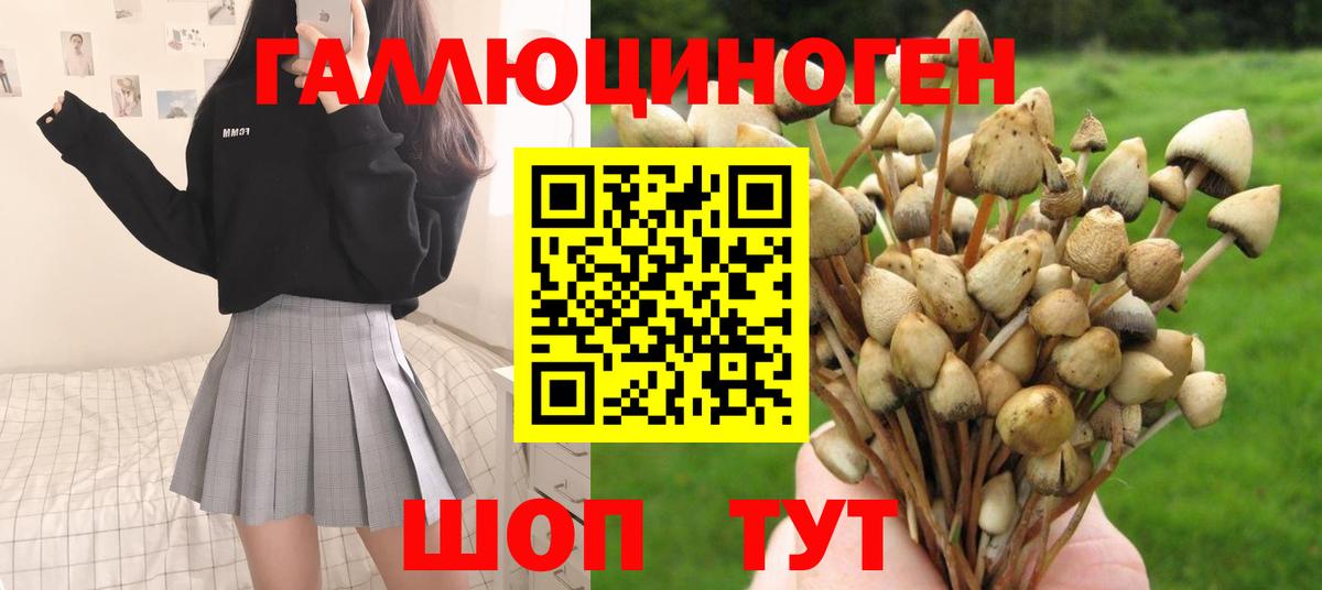 Кашира  Псилоцибиновые грибы мицелий  купить наркотик  Вход с VPN 