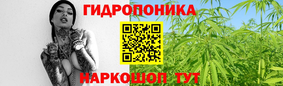 Кашира  Бошки Шишки AK-47  Вход с VPN  Канабис планчик 